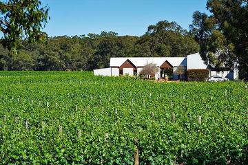 Upper Reach Winery: Swan Valley Winery and Vineyard Tour