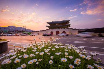 All in One Full Day Tour 1 (Two Palace & Namdaemun Market & Insadong)