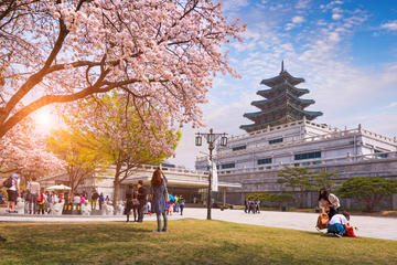 All in One Full day Tour 3(Gyeongbok Palace-N Seoul Tower-Gwang Jang Market)