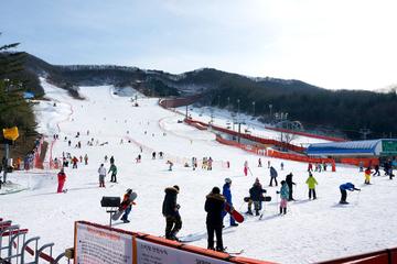Cheapest Korea Ski Tour with the Dazzling Snow