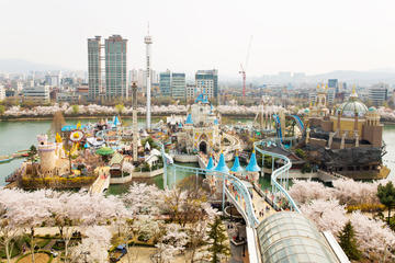 Lotte World Package Deal