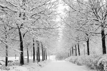 Ski tour & Nami Island