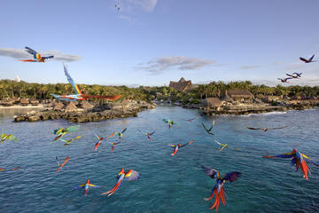 Combo Xcaret and Chichen Itza plus swim at cenote and lunch