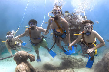 From Playa del Carmen: First Access to Xcaret with Express Transportation
