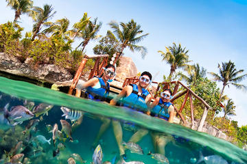 From Playa del Carmen: First Access to Xel-Ha with Express Transportation