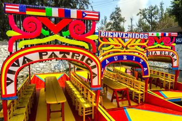 Mexico City Tour with Canoe Ride: Xochimilco and Coyoacan