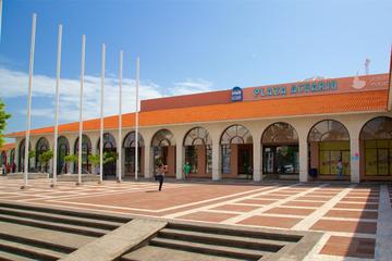 Skip the Line: Veracruz Aquarium Entrance Ticket