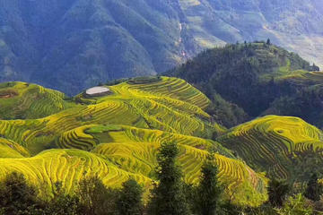 All-inclusive Private Day Tour to Longji Rice Terraces and Village