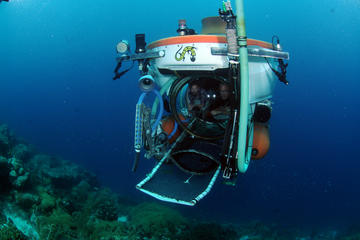 Explorers Dive