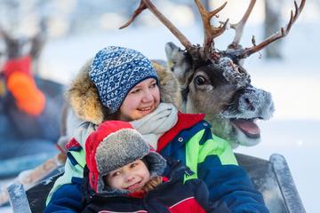 Visit a Sami village, get to know the culture and the history