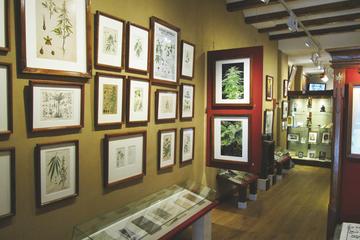 Hash, Marihuana & Hemp Museum of Amsterdam Admission Ticket