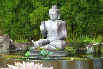 Crystal Castle Tour from Byron Bay