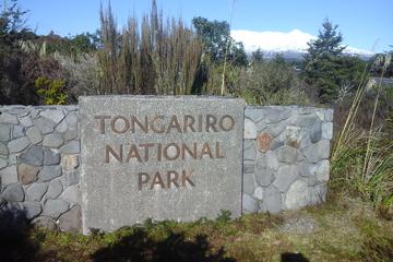Return Shuttle to Explore Whakapapa Village from National Park