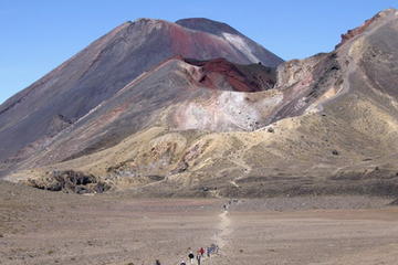 Tongariro Crossing Shuttle