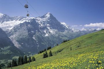 Mt First Admission in Grindelwald
