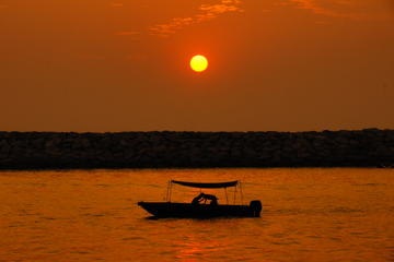 Viator Exclusive: Lantau Island Sunset Tour Plus Airport Express and MTR