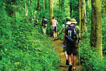4-Night Hill Tribe Village Tour with Thai Jungle Trek from Chiang Mai