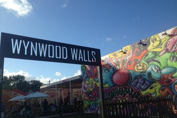 Wynwood Art and Graffiti Bicycle Tour