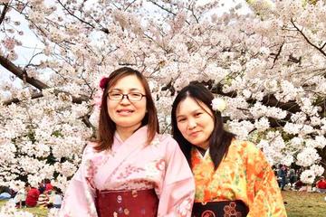 Kimono Experience in Gorgeous Ritsurin Garden in Kagawa
