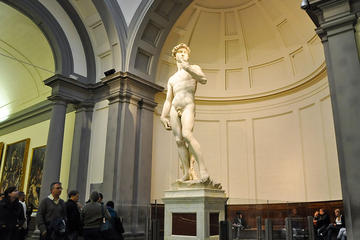 Accademia Gallery Monolingual Tour from Montecatini