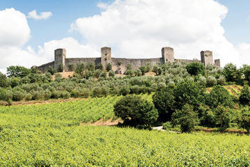 Chianti and Castle Tour from Siena