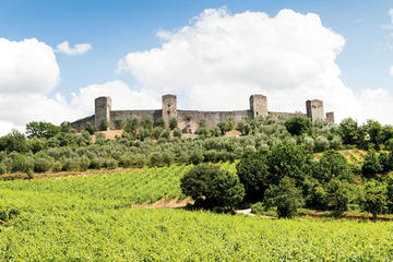 Chianti and Siena Half Day Tour with Dinner from Florence