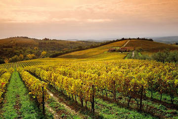 Chianti at Sunset With Dinner Experience from Siena