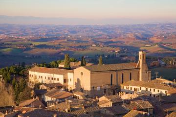 Chianti Wine Tasting and San Gimignano Day Trip from Siena