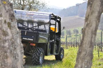 Full- Day Chianti Experience on a Quad with Picnic from Siena