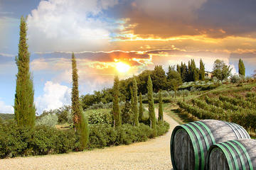 Half-Day Afternoon Chianti Tour from Montecatini