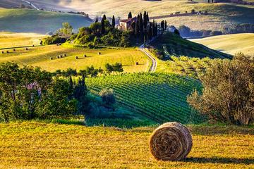Montalcino, Pienza, and Montepulciano Wine Tour