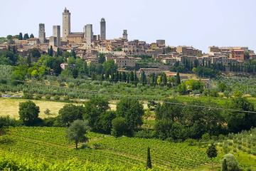 San Gimignano, Chianti, and Montalcino Day Trip from Siena