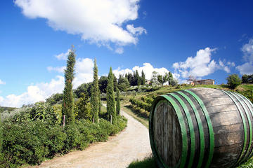 Tour of the Chianti Region and Brunello Wine Tasting from San Gimignano