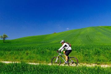 Tuscany by Electric Bike