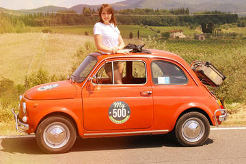 Vintage Fiat 500 Panoramic Tour of  Florence from Pisa