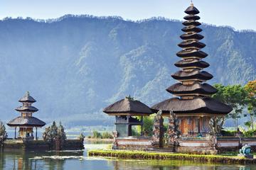 Travel Bali Villas-Bedugul Nature Tour