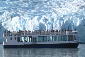 Anchorage Shore Excursion: Pre- or Post-Cruise Turnagain Arm and Wildlife Conservation Center Tour with Optional Portage Glacier Cruise