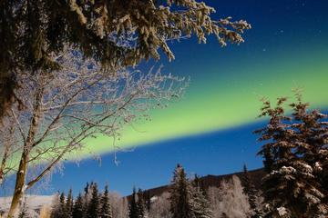 Fairbanks-Chena Hot Springs Aurora Tour