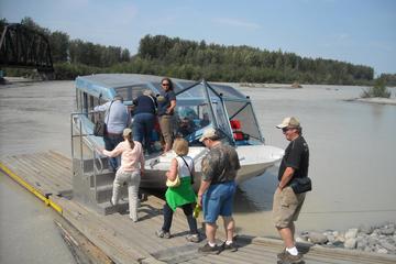 Talkeetna Wilderness Jet Boat Tour