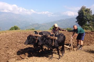 14 days Farmer Community Tour in Nepal
