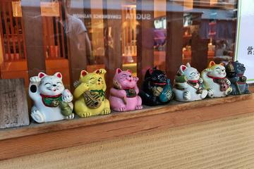 Fun Afternoon in Yanaka, Tokyo's old town