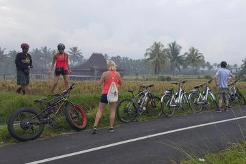 Adventure E-Bike Tour to See The Wonderful Ubud