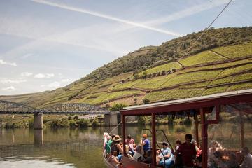 Private Premium Tour of Douro
