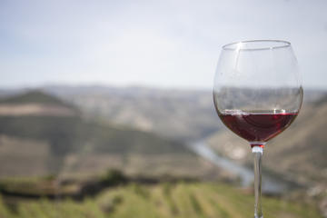 Tour Douro Gold