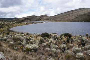 Hike to Sumapaz Moorlands