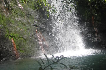 Cockscomb wildlife Sanctuary and Jaguar Preserve