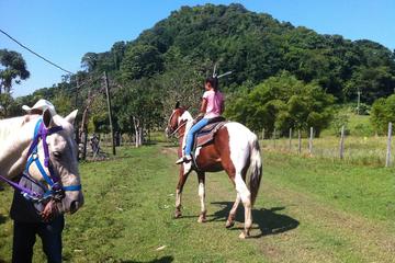 Harvest Caye Horseback Riding and Waterfall Swim Excursion from Placencia