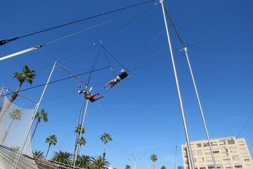 Flying Trapeze Lessons