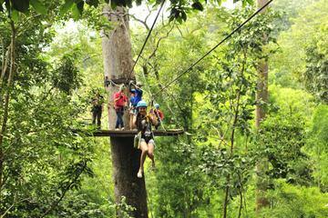 Private Tour: Cycling and Zipline Adventure from Chiang Mai