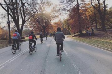 Central Park and More Bike Tour
